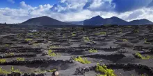 Lanzarote, dove vulcani, vento e oceano diventano sapori