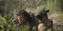 Ridley Scott, 'nel mondo post-apocalittico di The Dog Stars il caos di oggi'