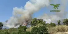 Incendio nelle campagne del sud Sardegna, canadair in azione