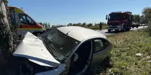 Auto contro platano, procura dispone autopsia su corpo bimba