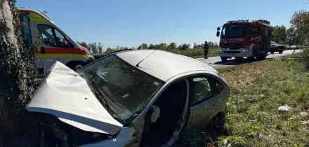 Auto contro un platano, muore una bambina di 11 anni, gravissima la sorellina