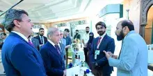 Il Pakistan lancia sua politica nazionale per la filiera olivicola