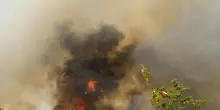 Colombia, oltre 50mila ettari devastati dai roghi, Tolima dichiara l'emergenza