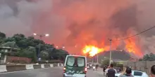 Incendi boschivi in Algeria, almeno 12 morti