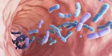 Il microbiota intestinale anticipa le malattie croniche fino a decenni prima