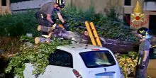 Maltempo in Veneto, oltre 350 richieste di intervento ai Vigili del fuoco