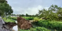 Tromba d'aria causa danni anche nel Mantovano, chiusa una riserva naturale
