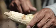 El Salvador, stato di emergenza nazionale per la siccit&agrave;