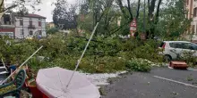 ++ Cremona in ginocchio, danni a 10 chiese e 10mila auto ++