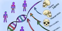 Nel Dna umano ci sono tracce di antenati fantasma