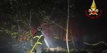 Dopo due giorni spento incendio sul Carso triestino