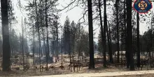Incendi negli Stati di Washington e Oregon, oltre 65.000 evacuati