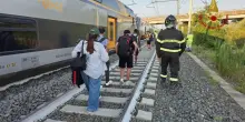 Treno investe mucche e deraglia vicino Roma, nessun ferito
