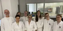 Sarcomi, scoperto un meccanismo che li rende resistenti alle terapie