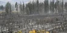 Allerta rossa in Ecuador, misure urgenti per il fenomeno El Ni&ntilde;o