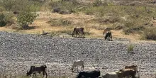 Honduras, riserve d'acqua della capitale sotto il 26%