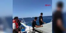 Un traghetto si ribalta e affonda al largo di Cipro, almeno 7 morti. Salvate 237 persone, 23 dispersi