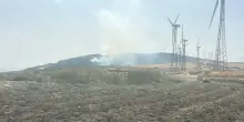 Domato nella notte l'incendio nel bosco di Alberona sui Monti Dauni