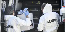 "Sequenza di omicidi-suicidi, possibile un meccanismo di emulazione"
