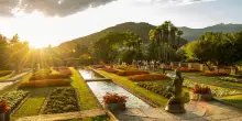 Verbania, il caldo cambia l'aspetto dei giardini botanici di Villa Taranto