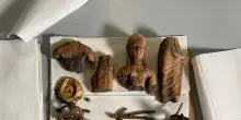 Un pozzo rituale con manufatti integri e resti umani scoperto a Marzabotto