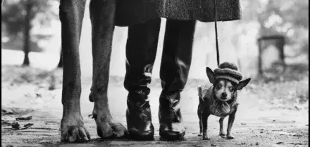 Una rilettura inedita dell'opera di Elliott Erwitt, l'uomo dietro l'obiettivo