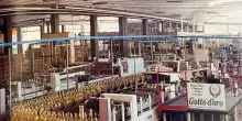 Cantine Ermes, partnership con Gotto d'Oro per valorizzare il territorio laziale