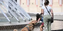 In Europa occidentale giugno-luglio pi&ugrave; caldo di sempre. Record temperature per la superficie dei mari