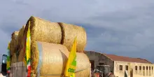 Coldiretti Puglia, 'dopo rogo gara di solidariet&agrave; per giovane allevatore'