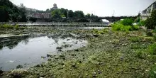 Distretto del fiume Po: 'L'emergenza siccit&agrave; continua e non si vede la fine'