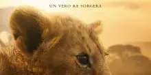 Su Disney+ debutta 'Lion', il drama che racconta viaggio di un cucciolo eroe