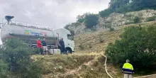 Vasche vuote all'alpeggio, Protezione civile salva animali al pascolo