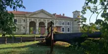 Ippocastano monumentale sradicato dal nubifragio di venerd&igrave; nel Mantovano