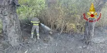 Si riaccende l'incendio che ha divorato 300 ettari in Ogliastra
