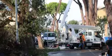 Maltempo: donna muore nel sottopasso allagato in Friuli. A Milano crolla il controsoffitto dell'aula bunker