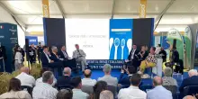 Ismea, superfici a riso assicurate per un valore di quasi 740 milioni, coperto il 75%