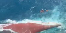 Traghetto si capovolge nel Mar di Giava, decine di dispersi