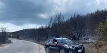 Incendi sul Gargano, arrestato un volontario della protezione civile
