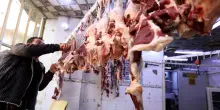 Macellaio iracheno condannato a 10 anni di carcere per aver venduto carne di maiale
