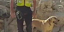 Cerc&ograve; persone sotto le macerie del sisma e del ponte Morandi, morto il cane Marley