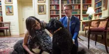 &Egrave; morta Sunny, il secondo cane degli Obama dopo Bo