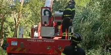 Finisce su un albero con il parapendio, soccorso dai Vigili del fuoco