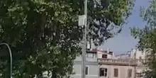 Bomba d'acqua su Roma, a Ponte Milvio strade come fiumi