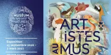 Il Museo di Storia naturale di Parigi compie 400 anni, grande mostra su arte e scienza