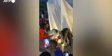 Venezuela, svelata una statua in onore del cane da soccorso durante i terremoti