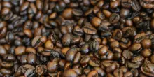 Fao celebra prima Giornata Internazionale del Caff&egrave;, un mercato da 34 miliardi dollari