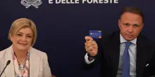 Calderone, card "Dedicata a te" &egrave; un messaggio di inclusione e attenzione a fragilit&agrave;