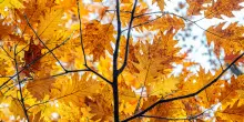 L'estate &egrave; al capolinea, arriva l'equinozio d'autunno