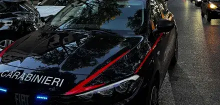 Minore pianifica un'aggressione con coltello a una docente, fermato dai carabinieri