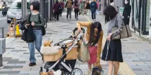 Cucce al posto delle culle, il fenomeno pet parenting